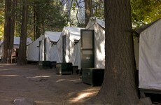 US: Thousands could be at risk from deadly virus at Yosemite park