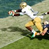 49,000 fans watch on as Notre Dame cruise to victory in Aviva