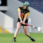 Gaule soars with 1-10 as Kilkenny storm into All-Ireland semi-finals after 16-point victory