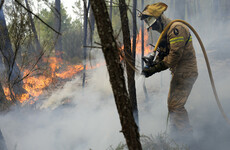 Forest fires rage in scorching southwest Europe