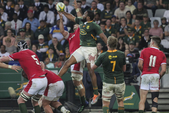 Kolisi scores as Springboks outmuscle Wales to win series - Vimarsana News
