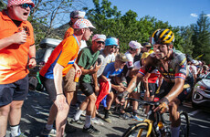 Tour de France leader Jonas Vingegaard loses key ally Primoz Roglic to injury