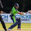 Ireland suffer 31-run defeat to New Zealand in opening T20 invitational