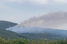 Wicklow Fire Service battling forest fire since early hours at popular hiking spot