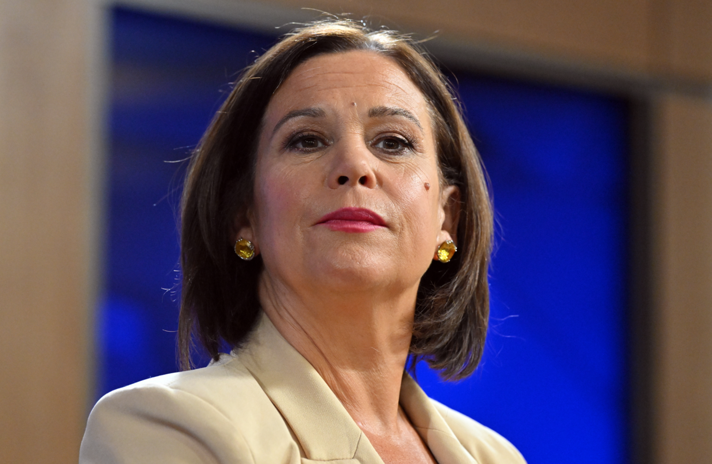 Ireland cannot be 'bargaining chip' in UK negotiations with EU, says McDonald - Vimarsana News