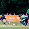 New Zealand sweep Ireland with third T20 victory in Belfast
