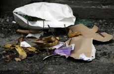Tourists greeted by litter blackspots around Dublin Airport