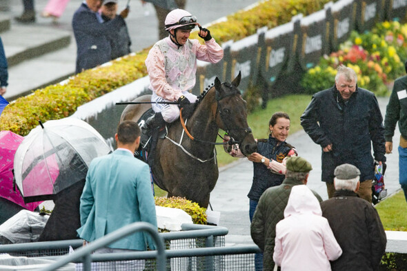 Donn McClean: Maturing Sionnach Eile reigns in the Galway rain - Vimarsana News