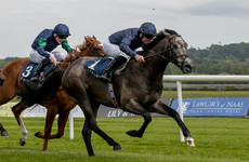 O'Brien has Grade 1 target in France for The Antarctic