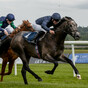 O'Brien has Grade 1 target in France for The Antarctic