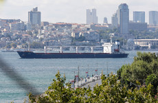 First Ukrainian grain shipment since invasion sails through Istanbul