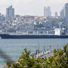 First Ukrainian grain shipment since invasion sails through Istanbul