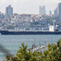 First Ukrainian grain shipment since invasion sails through Istanbul
