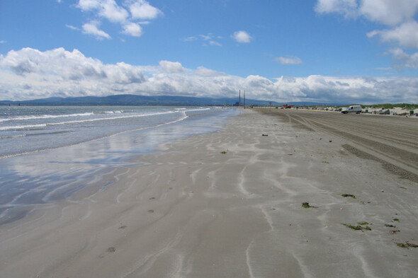 Temporary swim ban enacted for Dollymount and Sandymount Strands - Vimarsana News