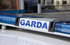 Garda appeal stood down for person missing in Dublin