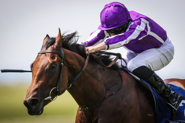 Little Big Bear sensational in Phoenix Stakes as Al Riffa gives Joseph O'Brien a landmark winner - Vimarsana News