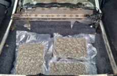 €300,000 worth of cannabis seized in Tipperary and Carlow