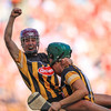 O'Dwyer's goal proves the difference as Kilkenny pip Cork at the death to take All-Ireland