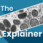 The Explainer: What's being done to stop the spread of monkeypox?