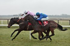 Fly leads big race treble on mixed day for Mullins