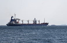 First Ukrainian grain ship docks in Turkey after being turned away