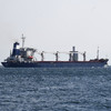 First Ukrainian grain ship docks in Turkey after being turned away