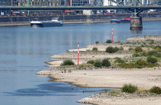 Fears mount that water levels in Rhine river could fall below critical mark