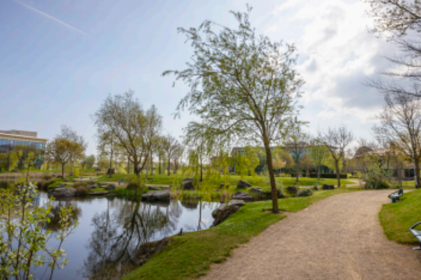 "When you sit back and look, there's so much to do": Locals share their favourite spots to eat, shop and stroll in Citywest - Vimarsana News