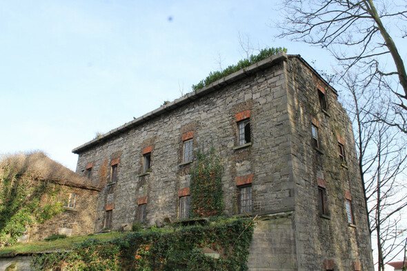 Last remaining textile mill in Ireland to be restored by Dublin City Council - Vimarsana News