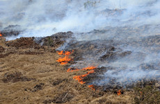 Large wildfire burning amid drought on Hawaii’s Big Island
