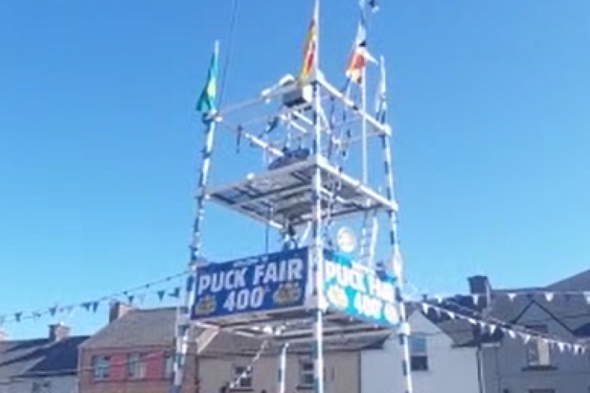 Puck Fair goat removed from platform for a second time due to high temperatures - Vimarsana News