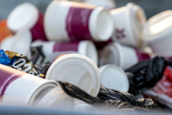 New polling finds widespread support for 20c levy on disposable cups - Vimarsana News