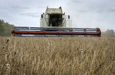 First UN-chartered ship set to transport Ukrainian grain to dock today