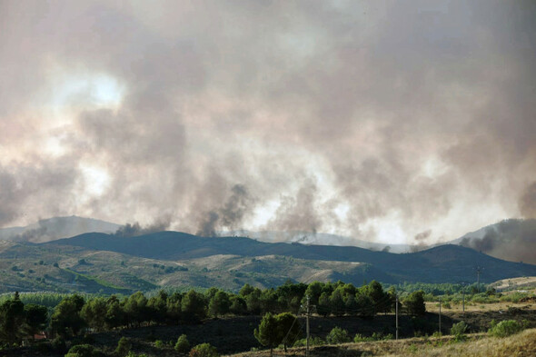 Rain brings relief to France fires, but 1,000 more evacuated in the south - Vimarsana News