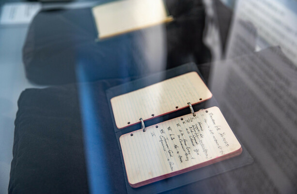 Michael Collins’ diaries to be made public for first time
