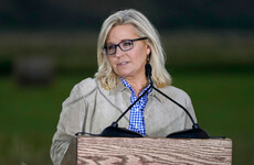 Top Republican Trump critic Liz Cheney loses seat in US Congress