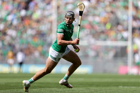 'There's been record attendances at club games in Limerick' - Hegarty backs split season model - Vimarsana News