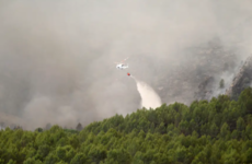 Firefighters battle to save national park as forest fires continue in Spain and Portugal