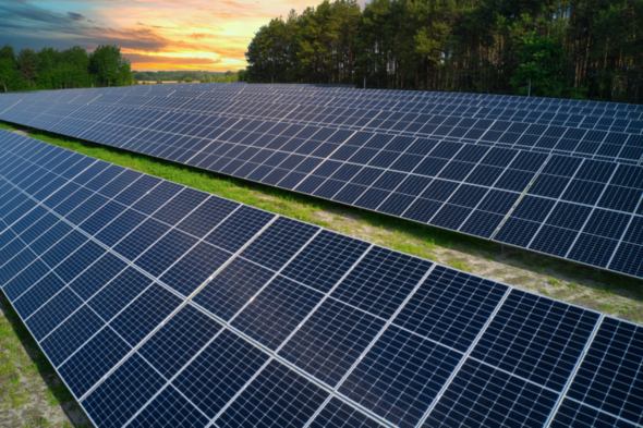 Appeal lodged over development of €100 million solar farm near Punchestown Racecourse - Vimarsana News
