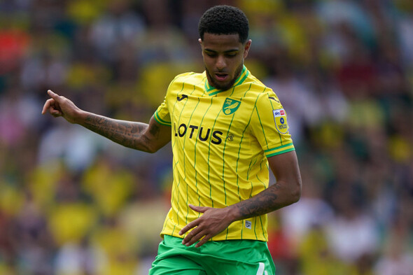 Andrew Omobamidele in cruise control as Norwich City build momentum - Vimarsana News