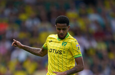 Andrew Omobamidele in cruise control as Norwich City build momentum