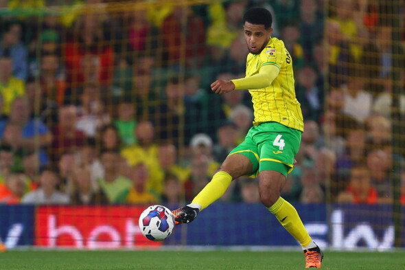 Omobamidele continues to impress as Norwich pile more misery on Sunderland - Vimarsana News