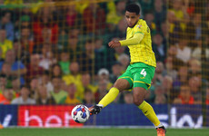 Omobamidele continues to impress as Norwich pile more misery on Sunderland