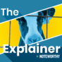 The Explainer x Noteworthy: Why are Irish unweaned calves being exported?