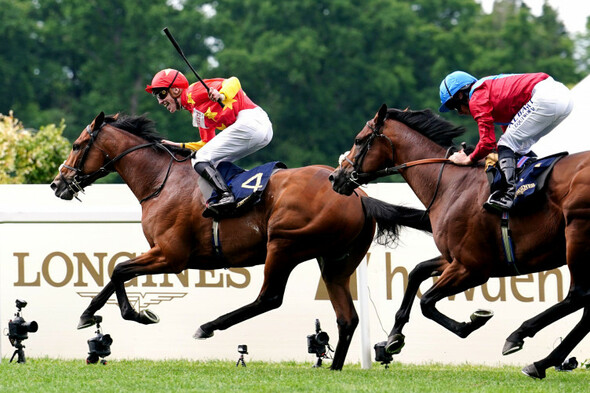 Multiple Group 1 winner State Of Rest retired to stud - Vimarsana News