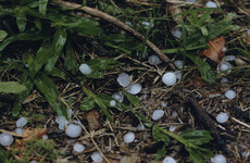 Spanish toddler dies after being hit on head by hailstones