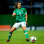 Key defender and Liverpool captain ruled out of Ireland’s decisive World Cup qualifier