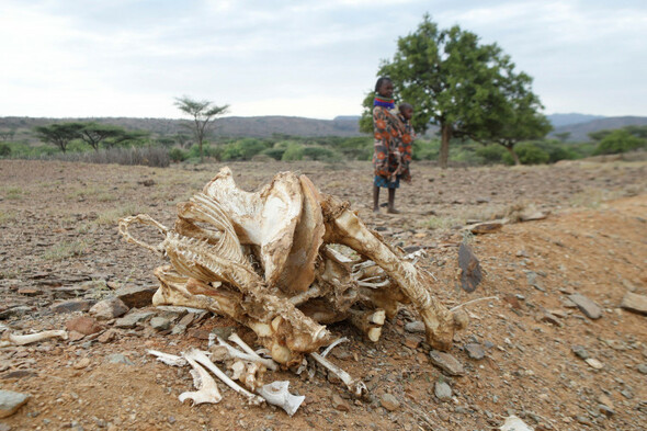 'Race against time' to avert a catastrophic climate change-induced famine in Kenya - Vimarsana News