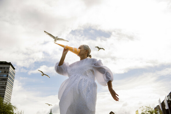 Opinion: Does the behaviour of gulls in the city need to change - Vimarsana News