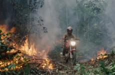 Trailer Watch: Which film will you watch this weekend?
